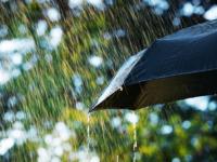 Just PI insurance | Weather forecast